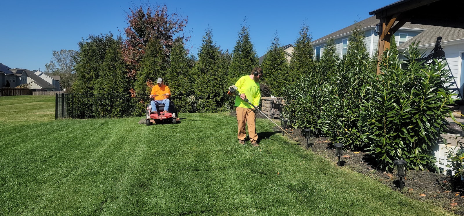 Operator mowing a long green Katy backyard with a mid-size walk-behind.