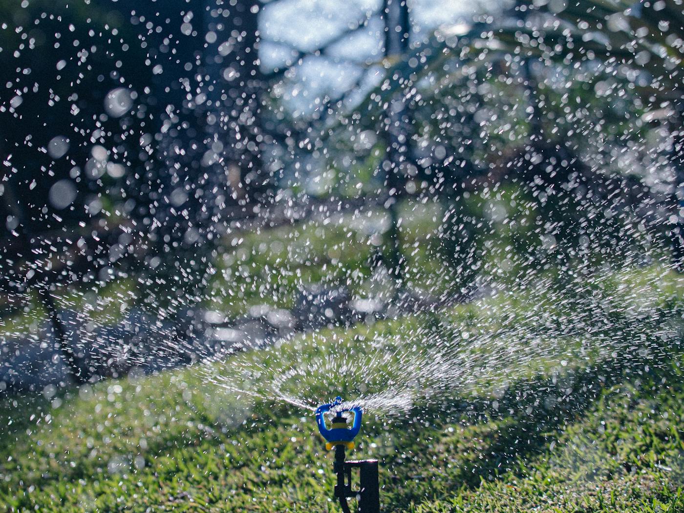 Pop-up sprinkler head spraying a clean arc over a Katy lawn at dusk.